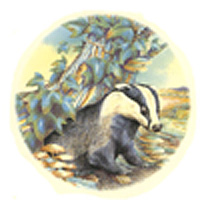 Country Animals Badger Round